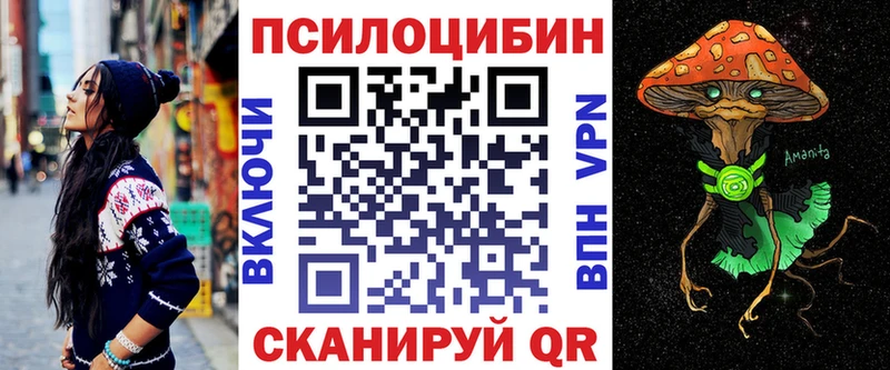 Галлюциногенные грибы Cubensis  продажа наркотиков  Черемхово 